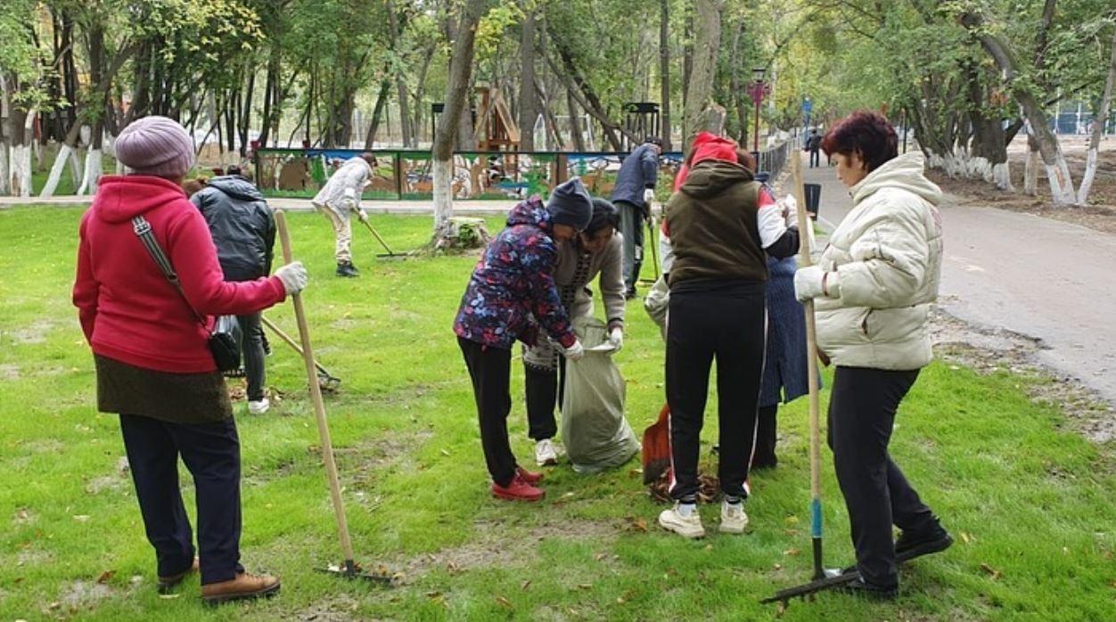 ەكولوگيالىق اكتسيا – تازالىق كەپىلى