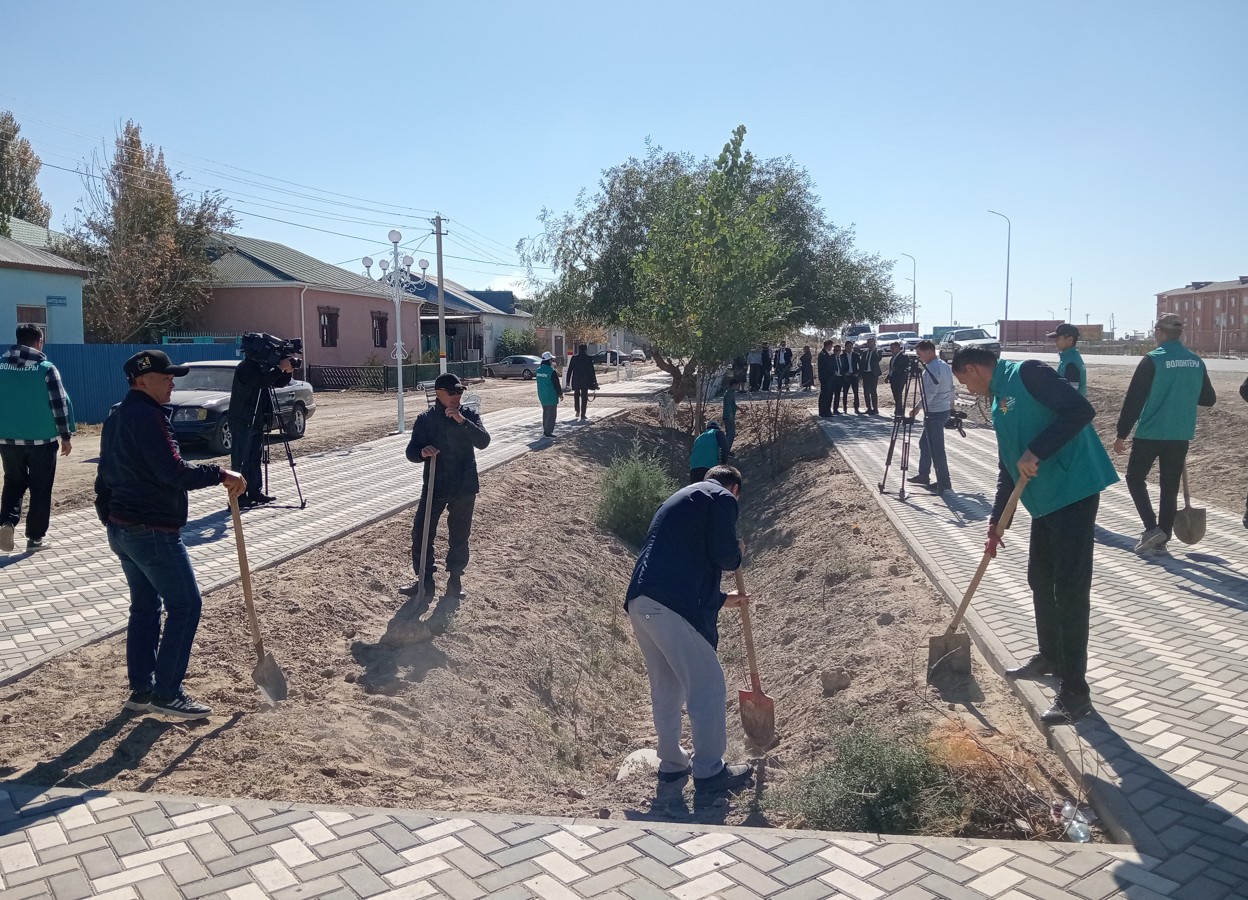 تەرەڭوزەك تۇرلەنىپ كەلەدى