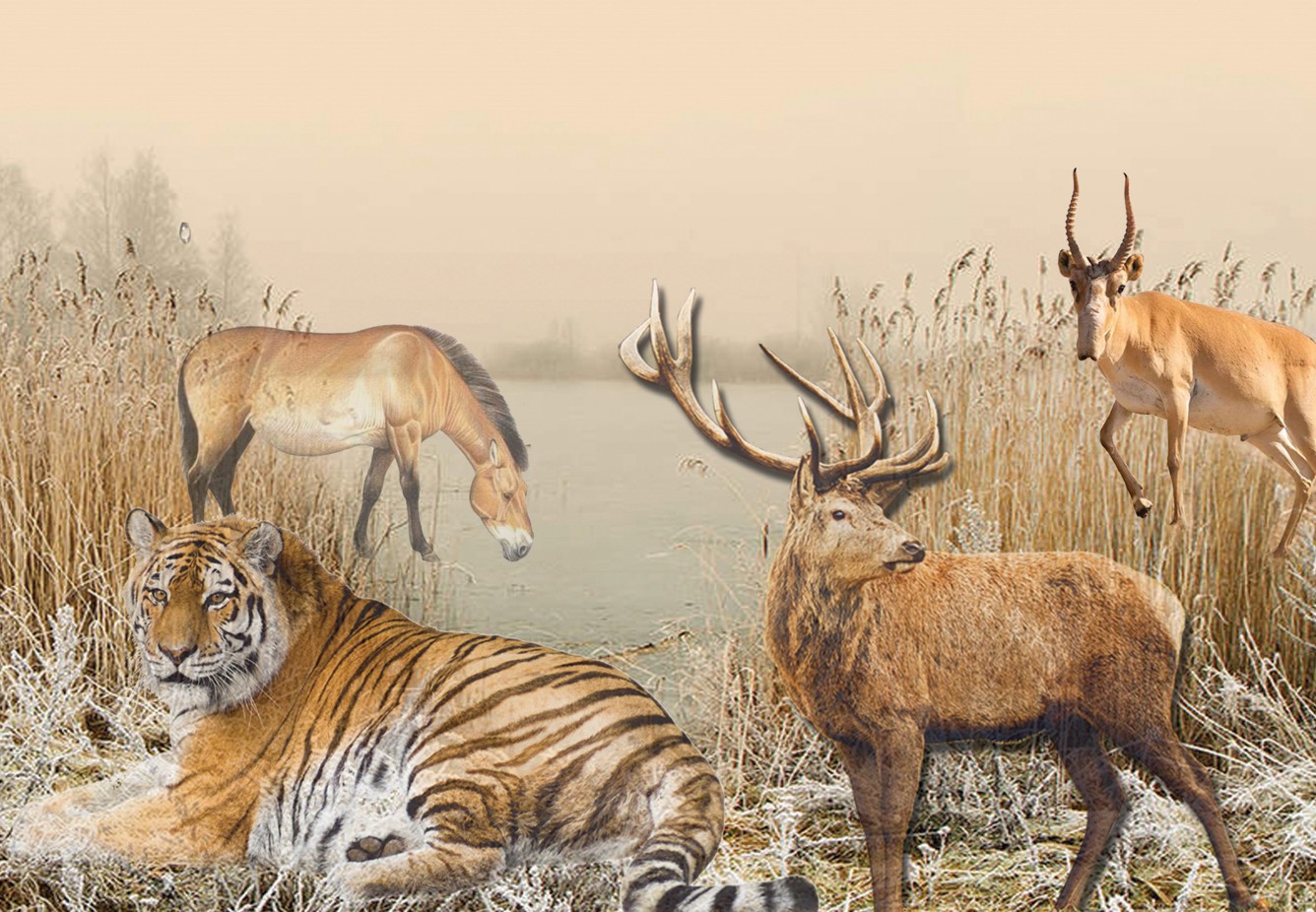 ىسقىرىپ اتقان كيىكتىڭ وبالى...