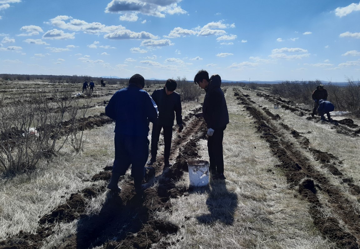 ورمانى كوپتىڭ ولجاسى كوپ