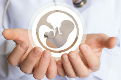 ەلىمىزدە «انالار ساۋلىعى» باعدارلاماسى ىسكە قوسىلادى