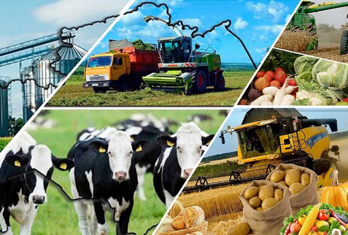 ديقاندار مەملەكەت باسشىسىنا العىس ايتتى