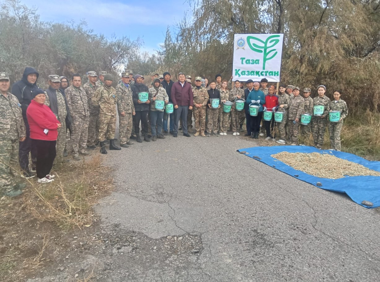 ورمان تامىردان قۋات الادى