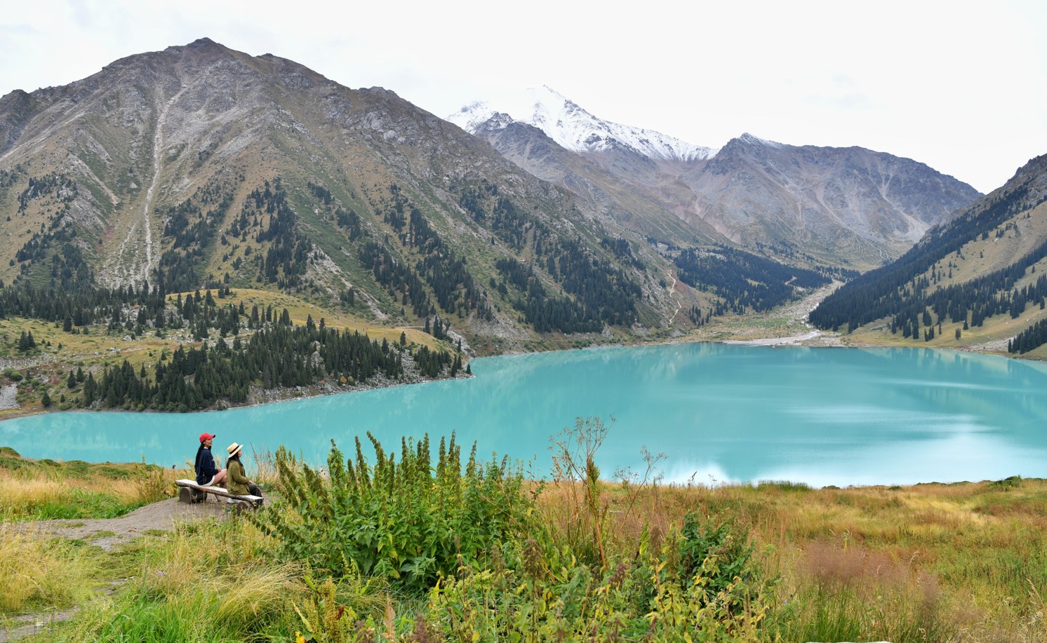 تاۋ كۋرورتى – تابىس كوزى