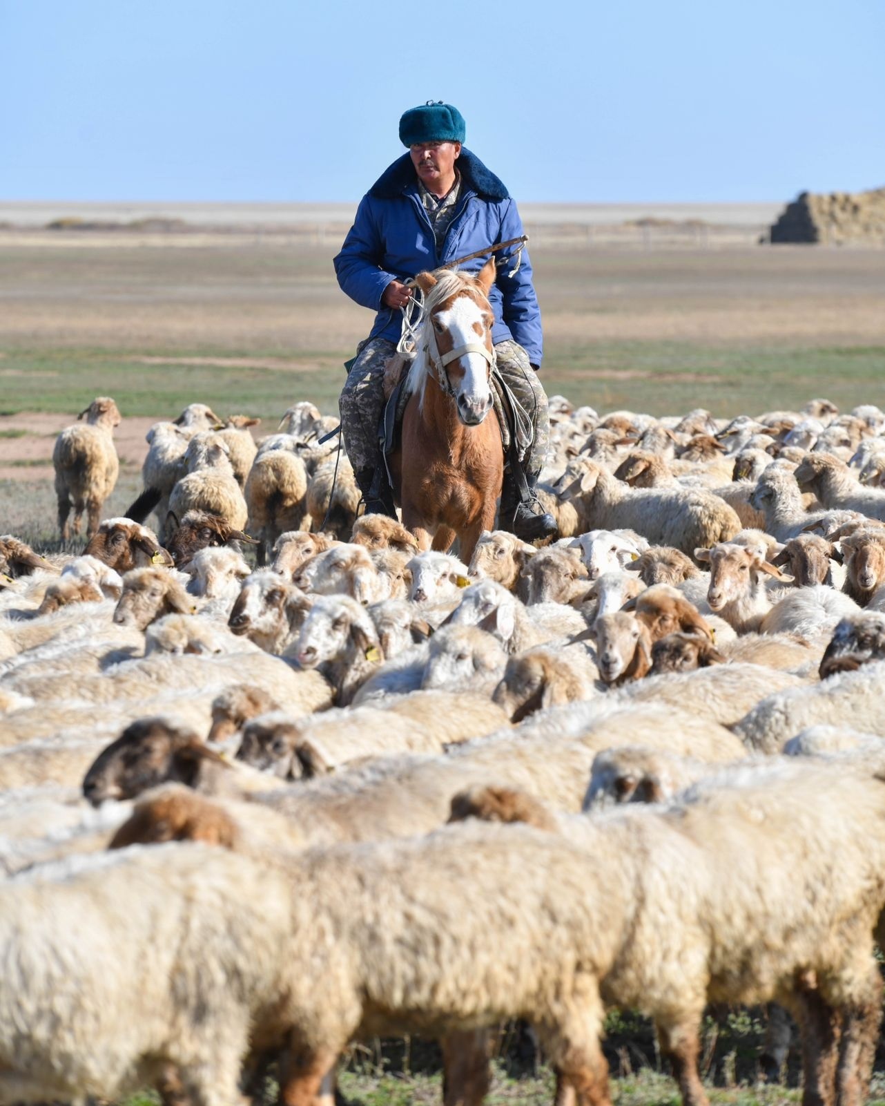 ەڭبەگىمەن ەلەۋلى