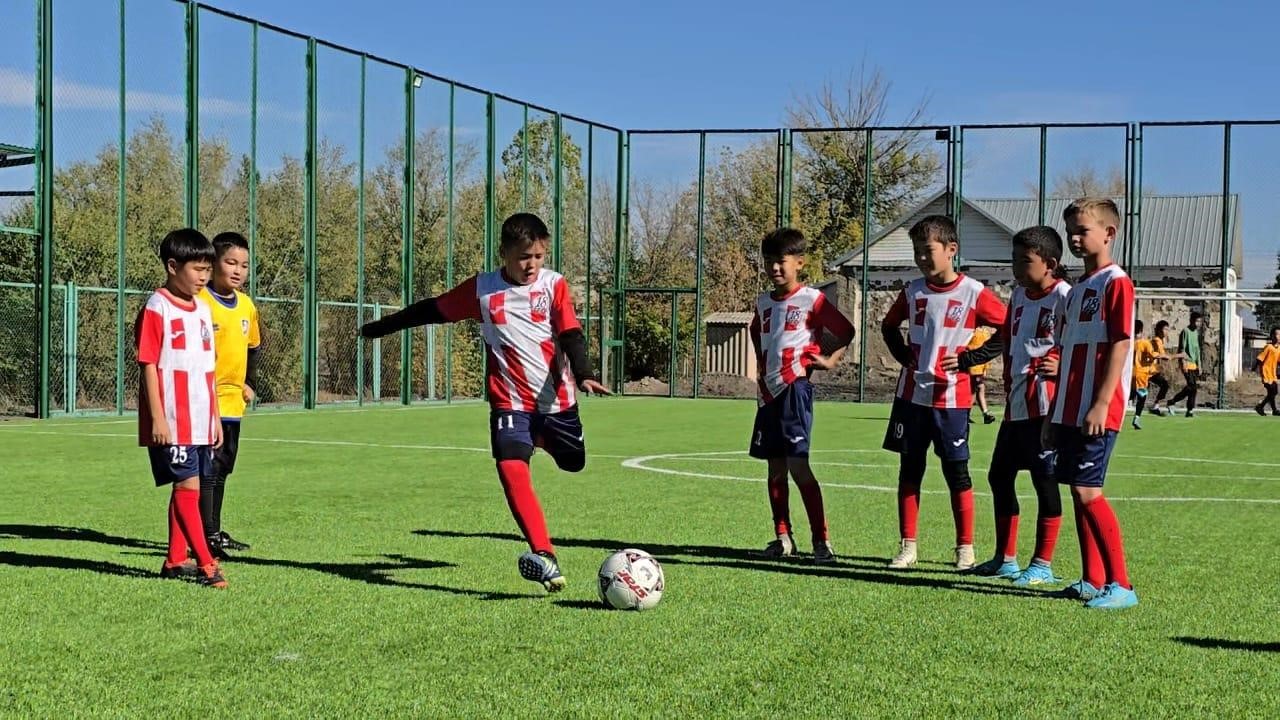 جاڭا نىساندار پايدالانۋعا بەرىلدى