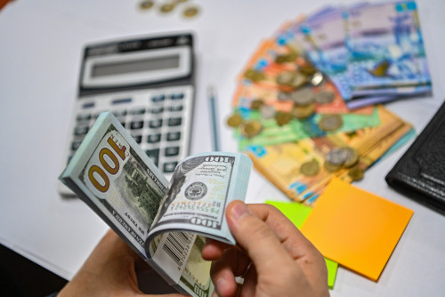 ۇلتتىق قوردىڭ شىعىسى كىرىستەن اسىپ كەتكەن - تيمۋر سۇلەيمەنوۆ