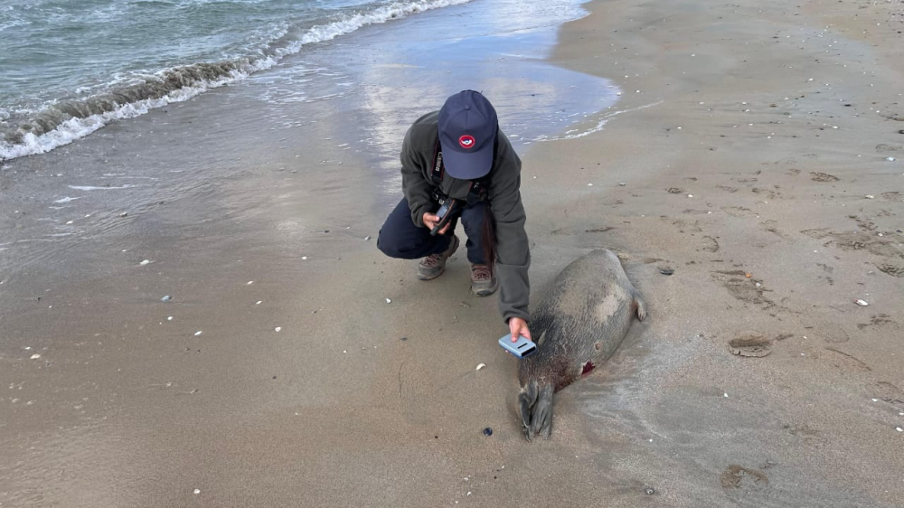 مۇنايلى جەردىڭ مۇڭى دا قالىڭ