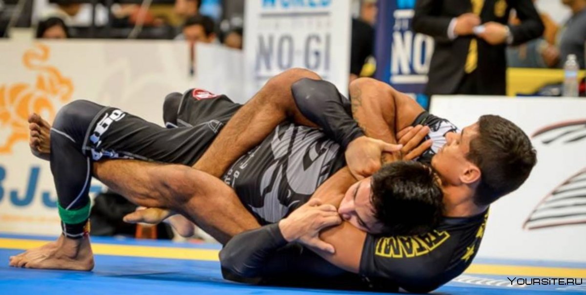 AIGA امەريكانى مويىنداتتى