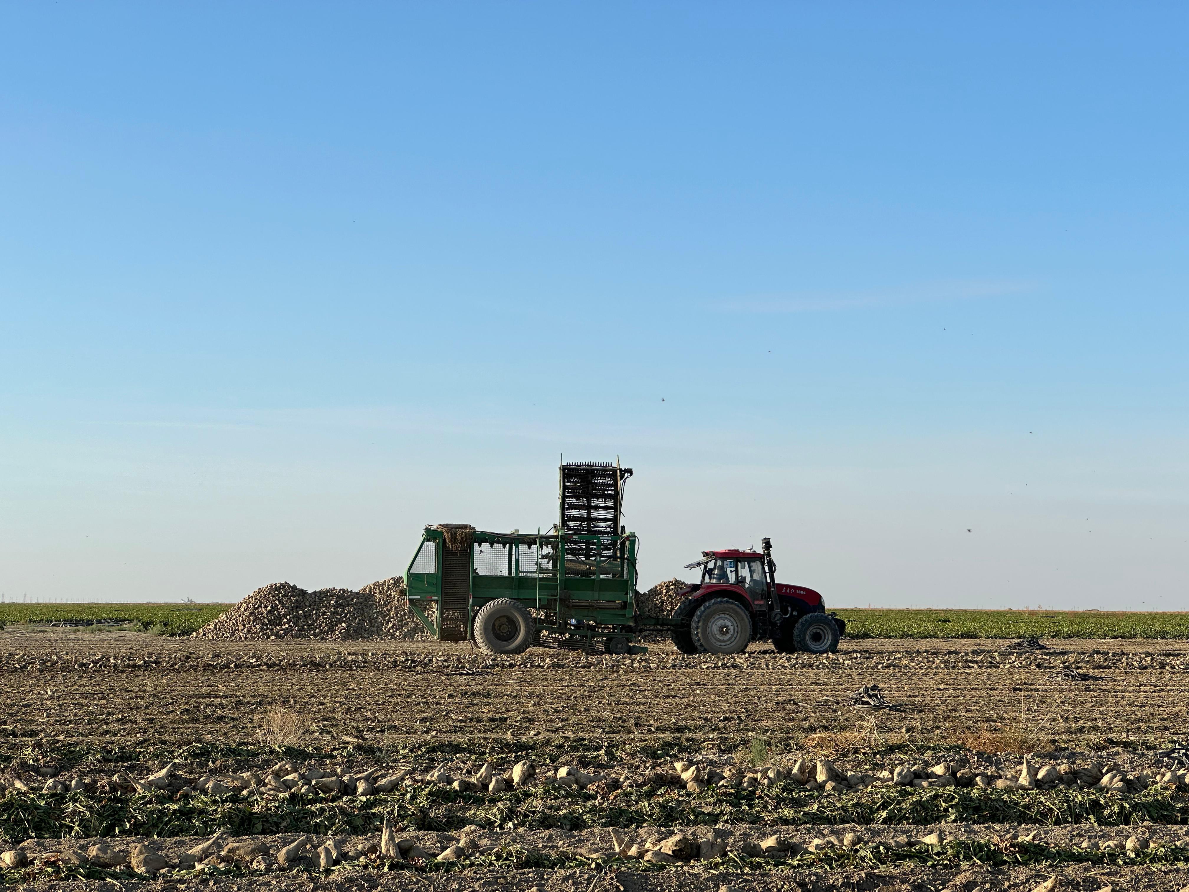 الاكولدىك ديقانداردىڭ ءونىمى مول