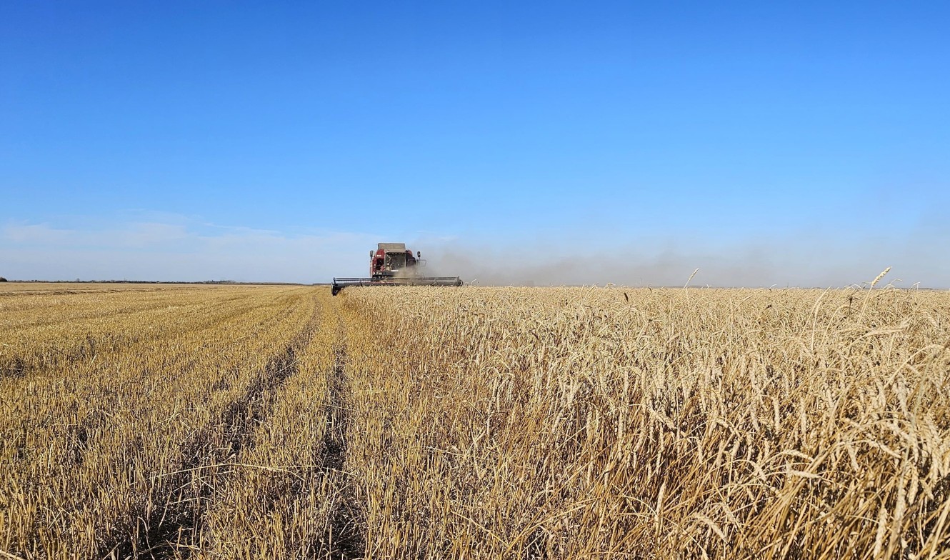 6 ملن توننا استىق باستىرىلدى بىراق بيدايعا سۇرانىس تومەن