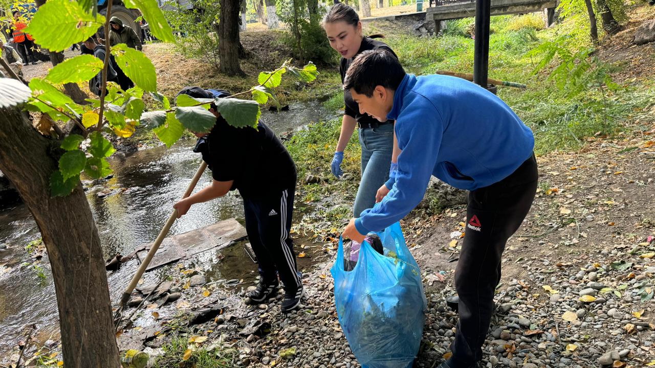 تازالىق اكتسياسىنىڭ ءتالىمى زور