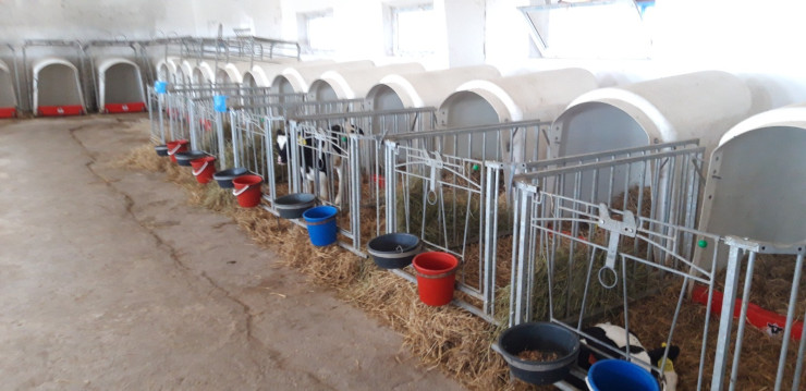 مالساق قاۋىمنىڭ مۇراتى