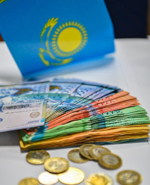 مەملەكەتتىك قارىزدىڭ باقىلاۋىن قامتاماسىز ەتەتىن جۇيە قاجەت - دەپۋتات