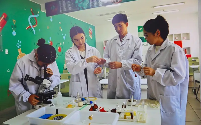 قالانىڭ مەكتەبىنەن قالىسپايدى