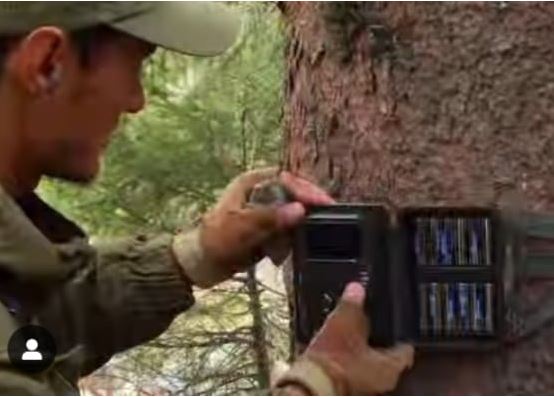 الماتى قورىعى