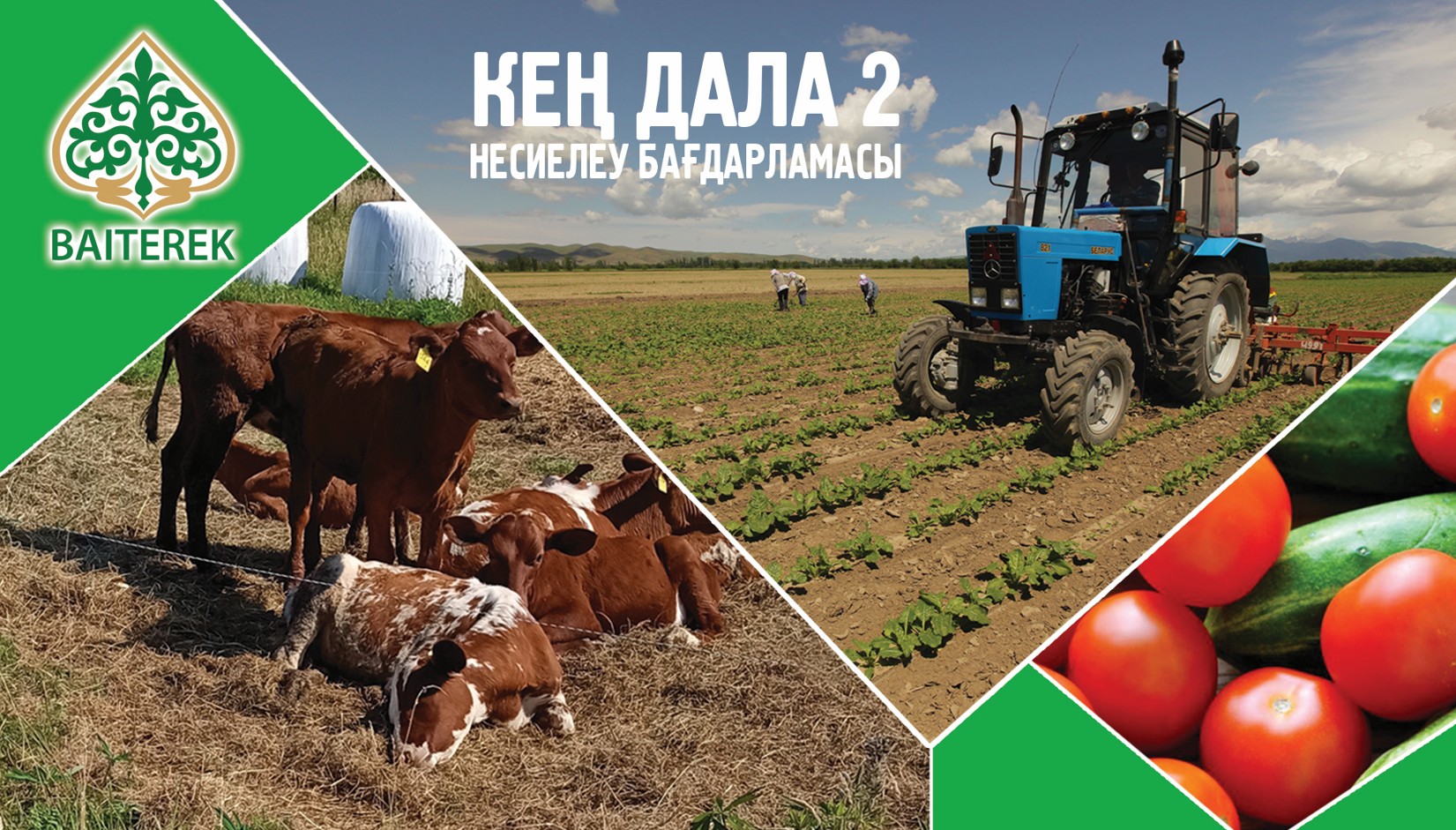 «كەڭ دالا 2» باعدارلاماسىنا ءوتىنىم قابىلداۋ جالعاسىپ جاتىر