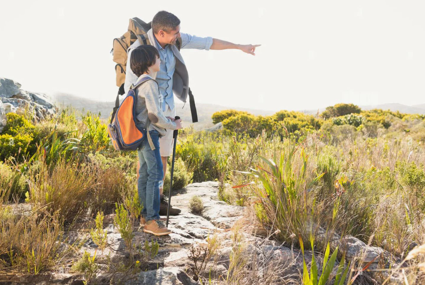 تاربيە – تالبەسىكتەن