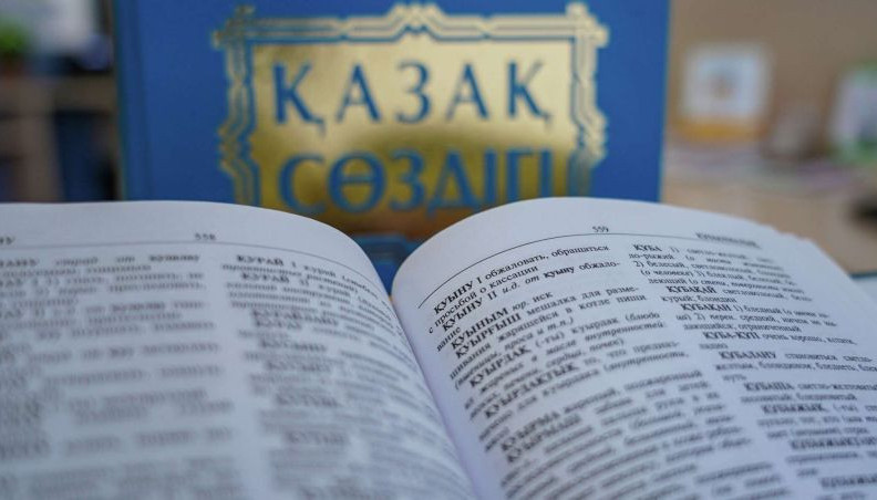 اۋديتوريانىڭ 80 پايىزى قازاق ءتىلدى كونتەنتتى تۇتىنادى – ايدا بالاەۆا