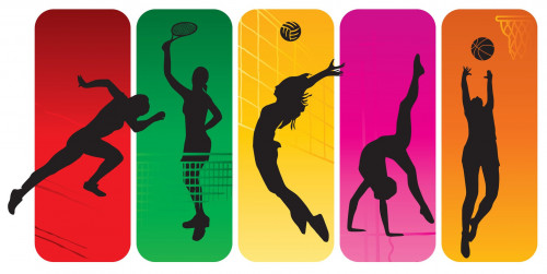 سپورت فەدەراتسيالارىنىڭ باسقارۋ جۇيەسى ورتالىقتاندىرىلادى