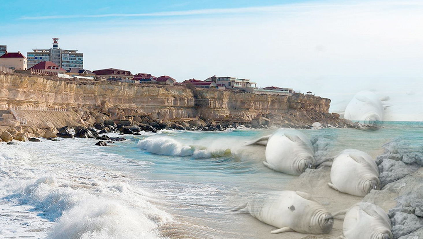 يتبالىق نەدەن قىرىلدى