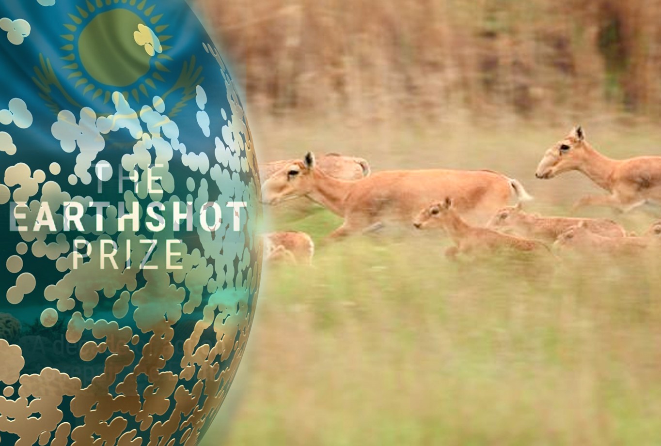 تابيعات جاناشىرلارى تابىسقا جەتتى