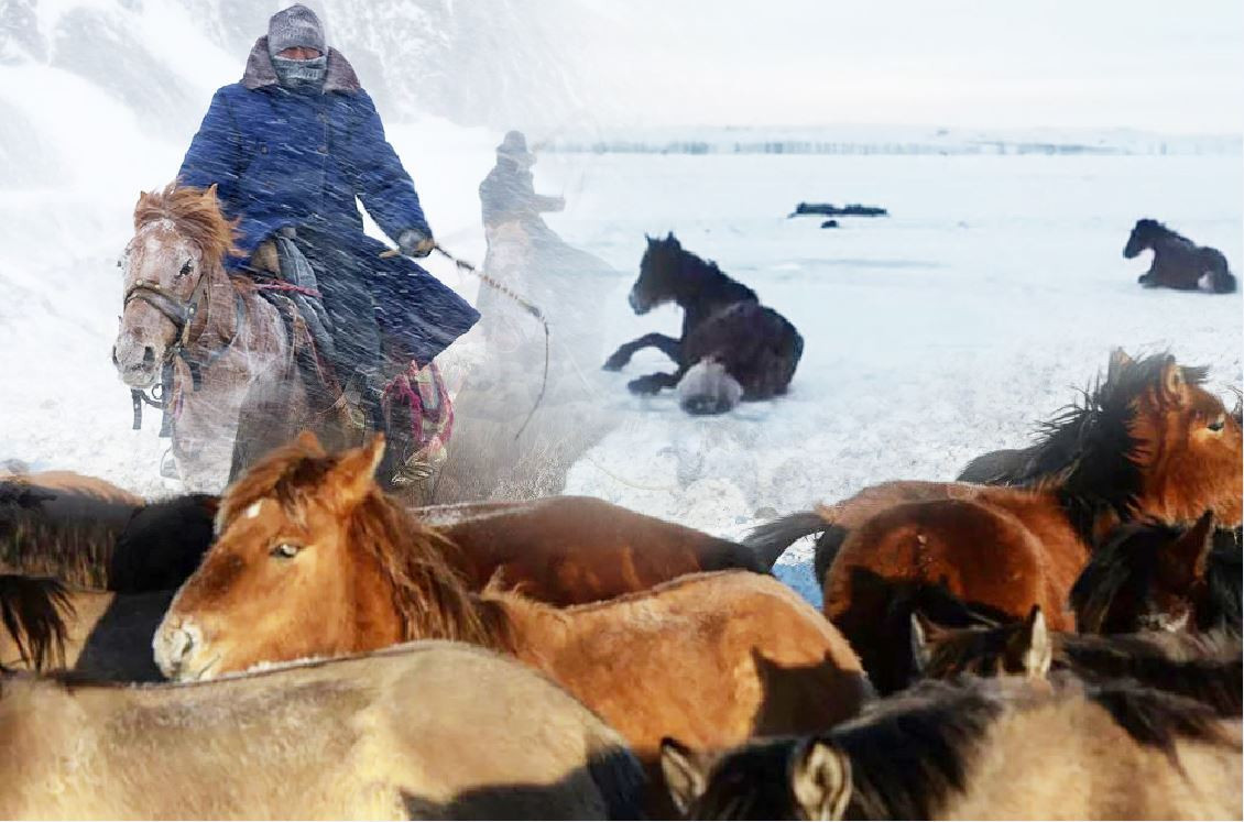 ت ۇلىك تورەسى تاقسىرەت تارتپاسا ەكەن