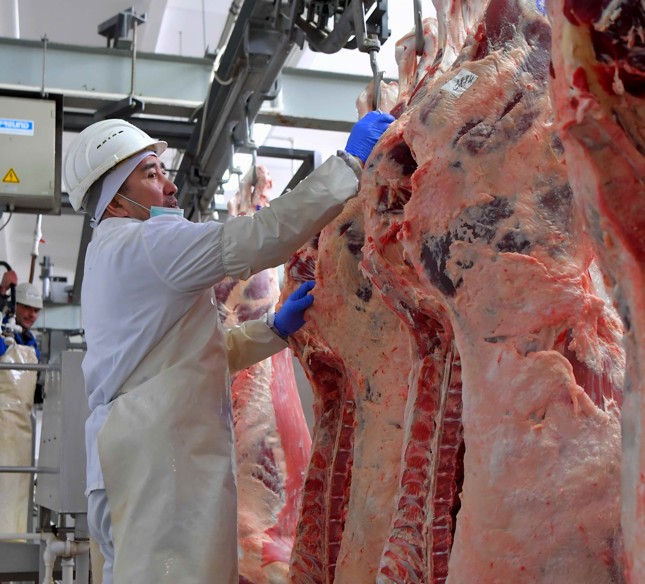 «قىزىل التىن» ەكسپورتىنىڭ ءجونى بولەك