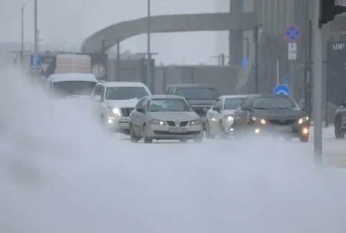 قازاقستاننىڭ ەكى وبلىسىندا كولىك قوزعالىسىنا شەكتەۋ ەنگىزىلدى