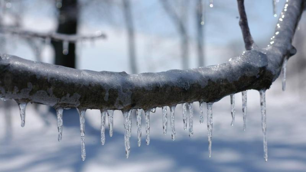 الداعى كۇندەرى كۇن رايى قانداي بولادى