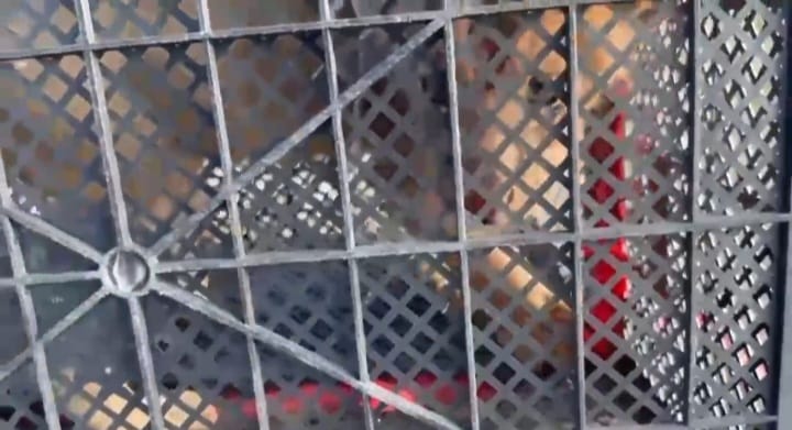 ارىستاننىڭ كۇشىگىن ساتپاق بولعان تۇركىستاندىق ۇستالدى