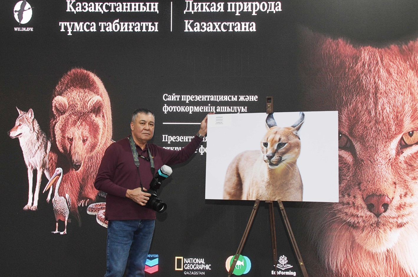 فوتو نىساندا – تۇمسا تابيعات