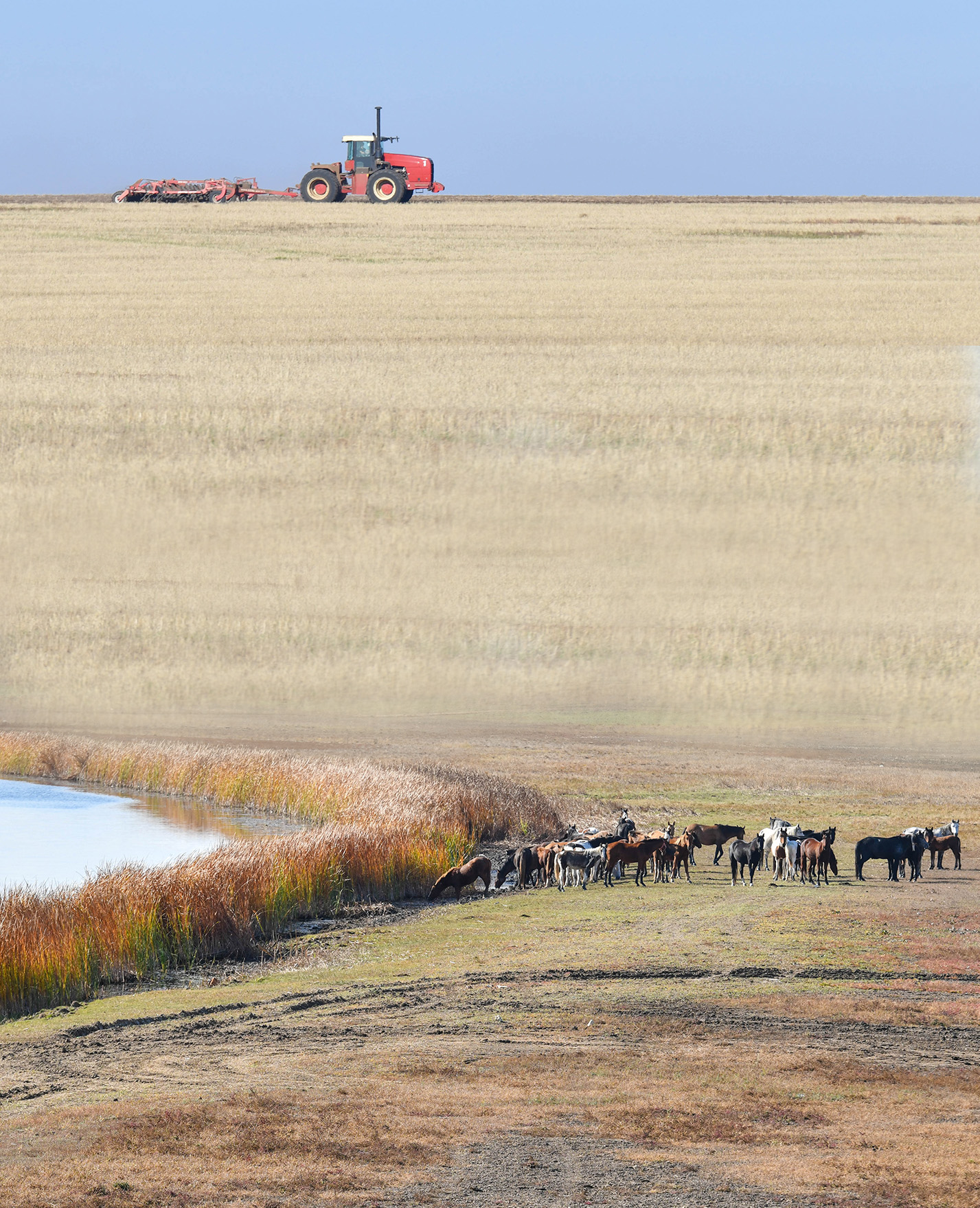 اۋىل شارۋاشىلىعى: كادردىڭ قادىرى بار ما؟