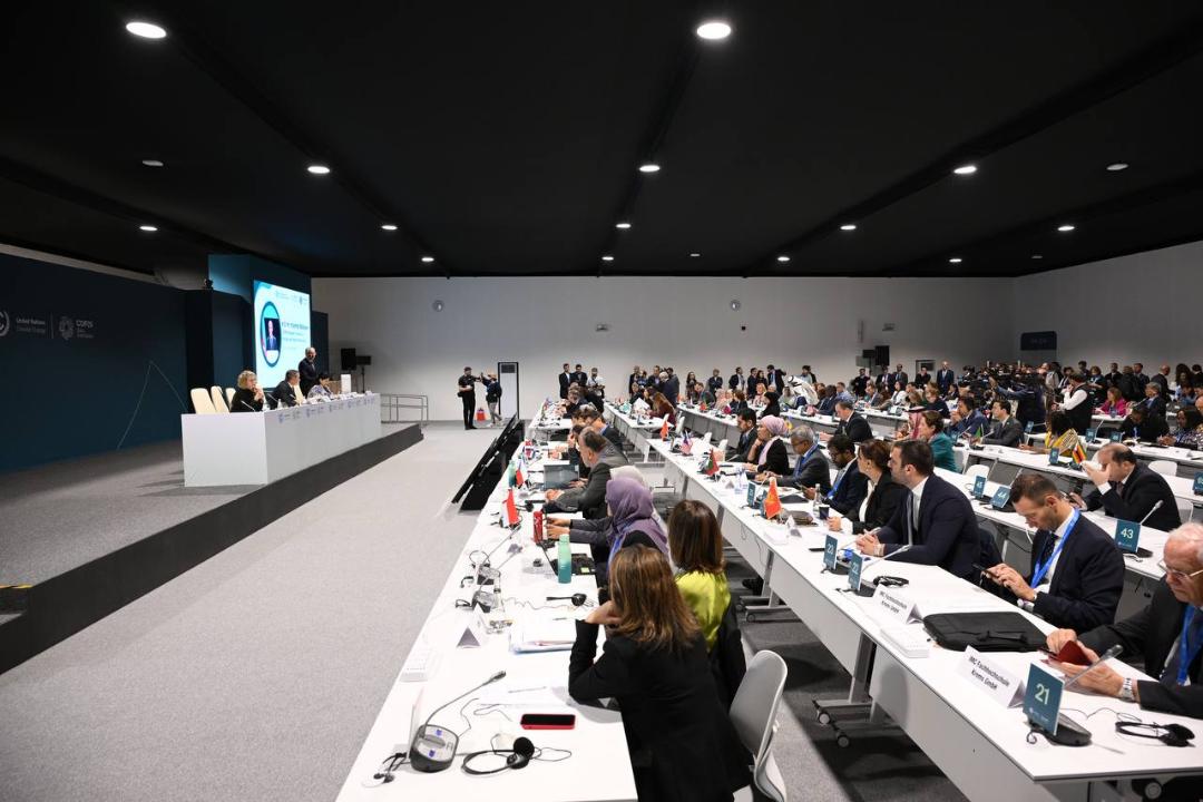 ۆيتسە-مينيستر: «جاسىل ستاندارتتاردى» ەنگىزۋدى جالعاستىرامىز