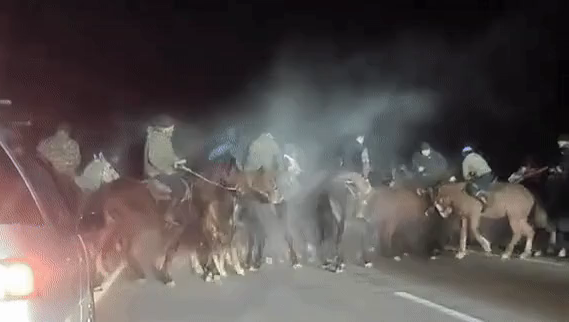 الماتى-قورعاس تاس جولىندا كوكپار ۇيىمداستىرعاندار جاۋاپقا تارتىلدى