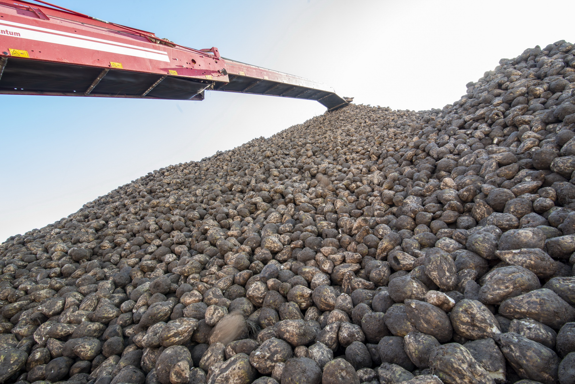 قىزىلشا زاۋىتقا سىيماي جاتىر