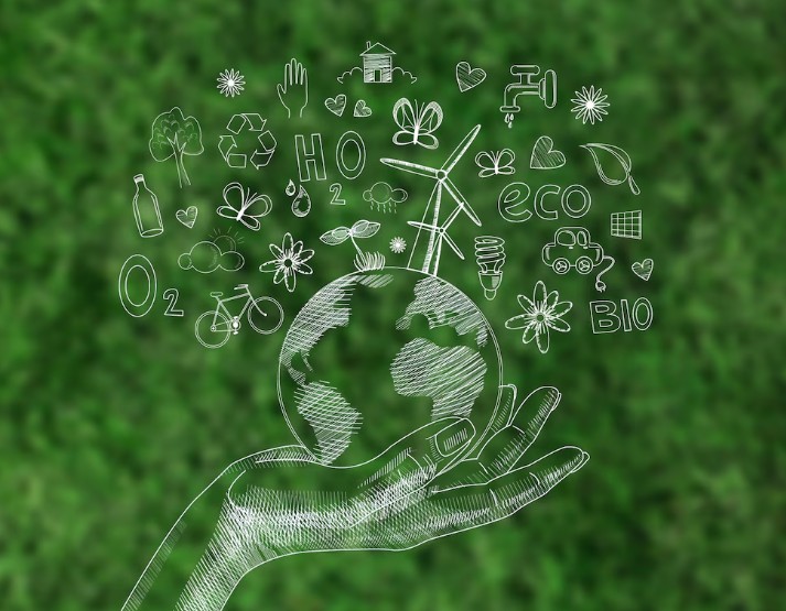 ەكولوگيالىق ءبىلىمنىڭ بەرەرى مول