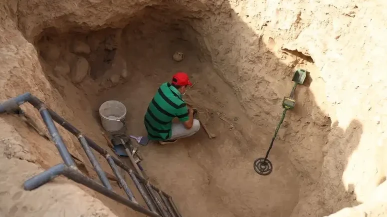 جامبىل وبلىسىندا 500-دەن اسا پەتروگليف مەملەكەت قورعاۋىنا الىندى