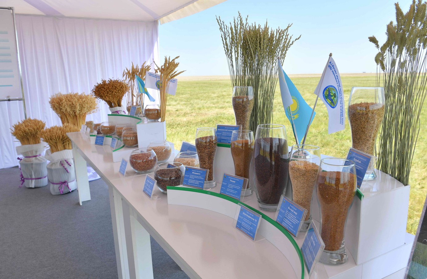 داقىل ونىمدىلىگىن ارتتىراتىن ءتاسىل