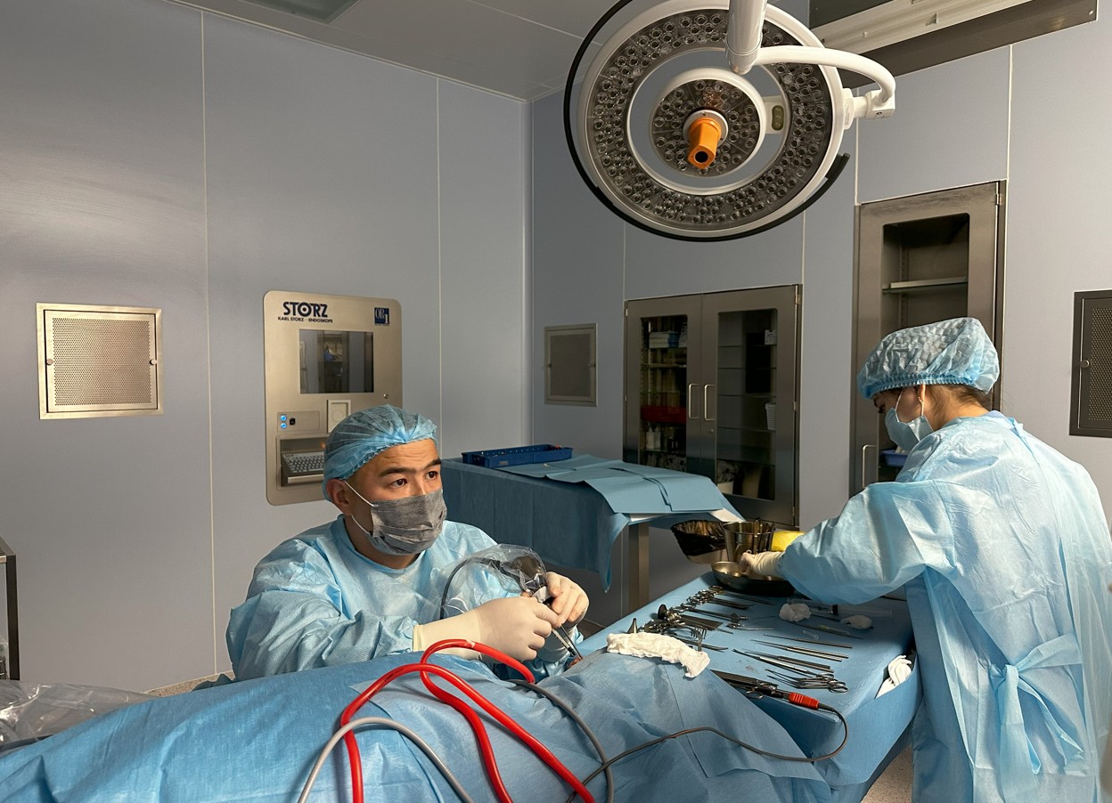 «ادام جانىنا اراشاشى بولۋ – ۇلكەن جاۋاپكەرشىلىك»