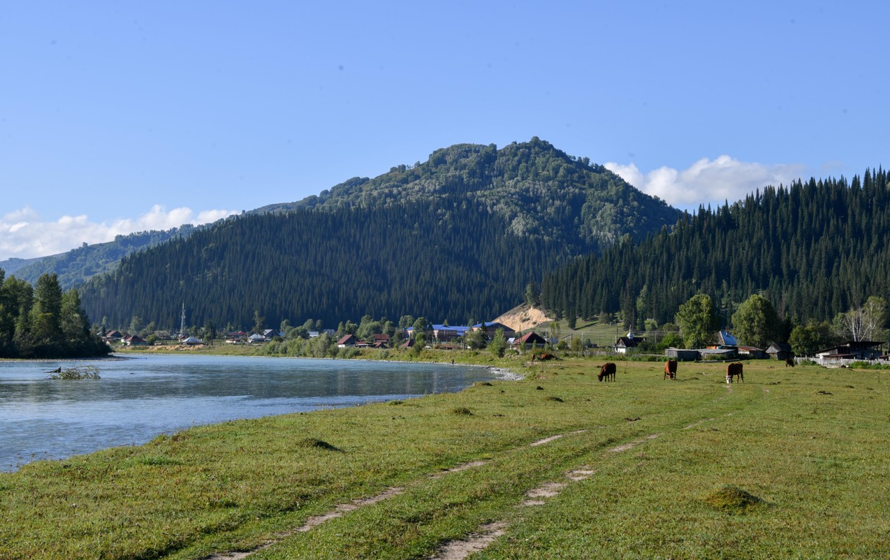 بەرەكە بەلسەندىگە بىتەدى