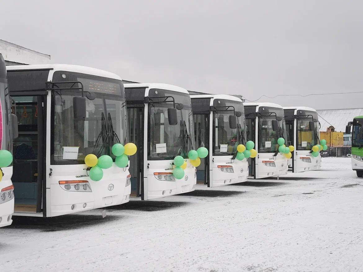 جولاۋشىلار تاسىمالى جاقسارادى