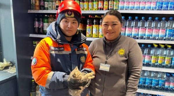 استانادا قۇتقارۋشىلار مىسىقتى امان الىپ قالدى