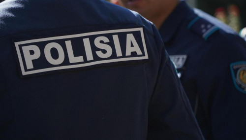 الماتىدا ەگدە جاستاعى ەرلى-زايىپتىلاردى ءولتىرىپ كەتكەن