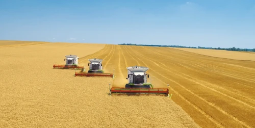 اقمولا وبلىسى ەلىمىزدىڭ باس استىقتى ءوڭىرى مارتەبەسىن دالەلدەدى