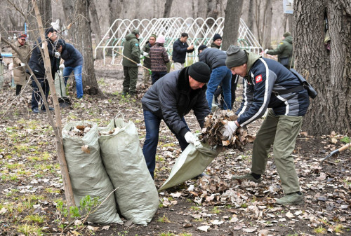 الماتىدا باۋم توعايى تازارتىلدى