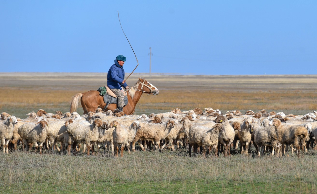 جىقاڭ. كاتيا جەڭگە. كوكدونەن