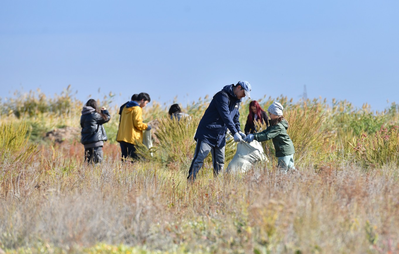 كوشەلى ءىس – كوپكە ۇلگى