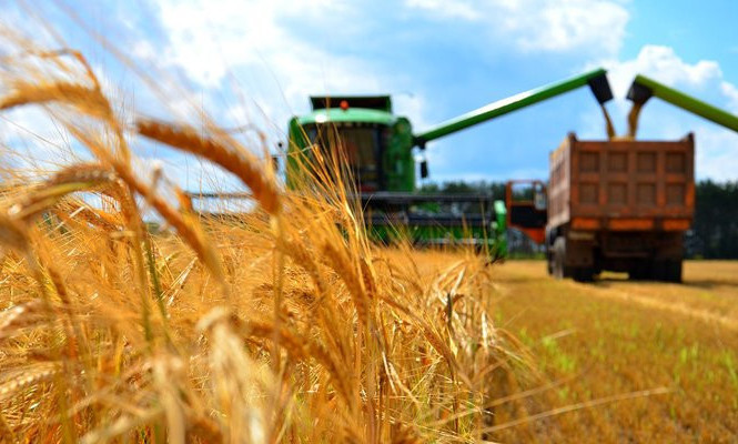 اۋىل شارۋاشىلىعى سالاسىندا 142 ميلليارد تەڭگە ءتيىمسىز يگەرىلگەن