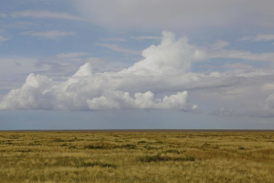 الماتى وبلىسىنىڭ مەنشىگىنە 86 مىڭ گا جەر قايتارىلدى